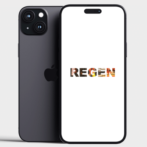 Community - Regen