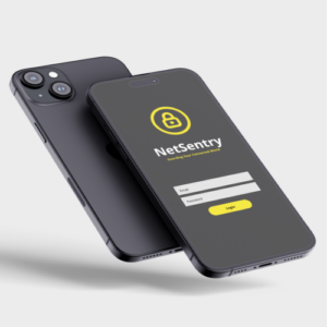 Cybersecurity-NetSentry