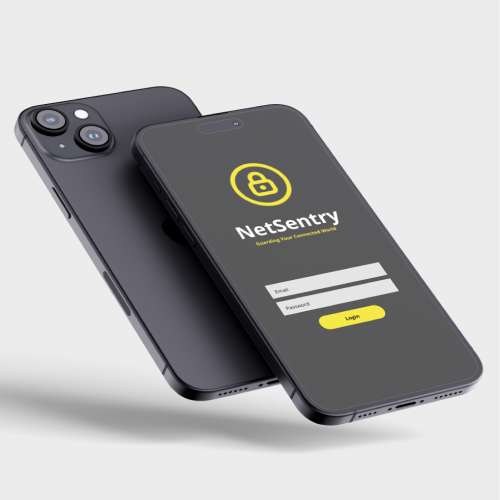 Cybersecurity-NetSentry